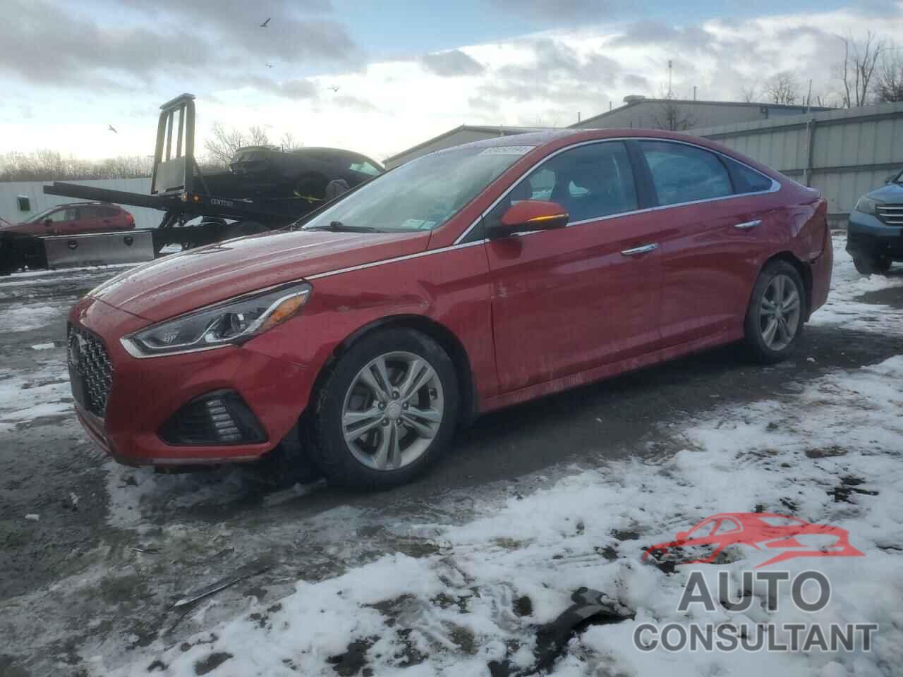 HYUNDAI SONATA 2019 - 5NPE34AF2KH803745