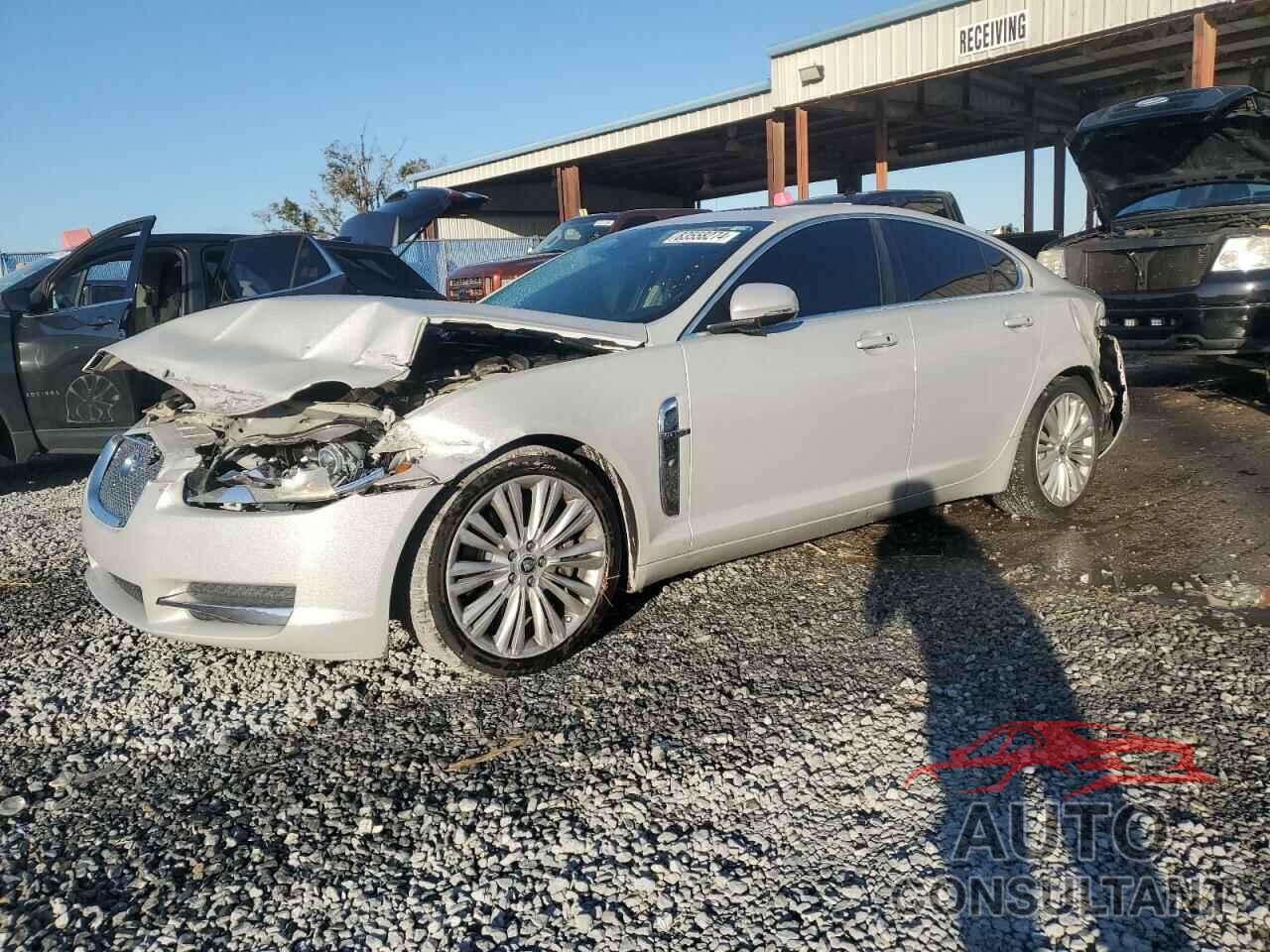 JAGUAR XF 2011 - SAJWA0GB2BLR88111