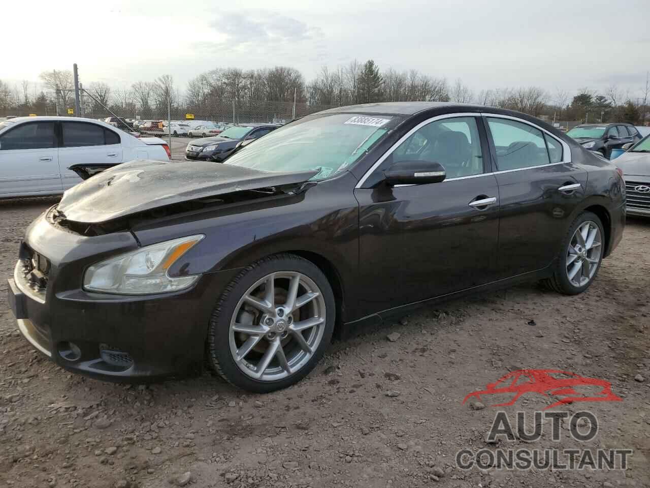 NISSAN MAXIMA 2010 - 1N4AA5AP1AC845438