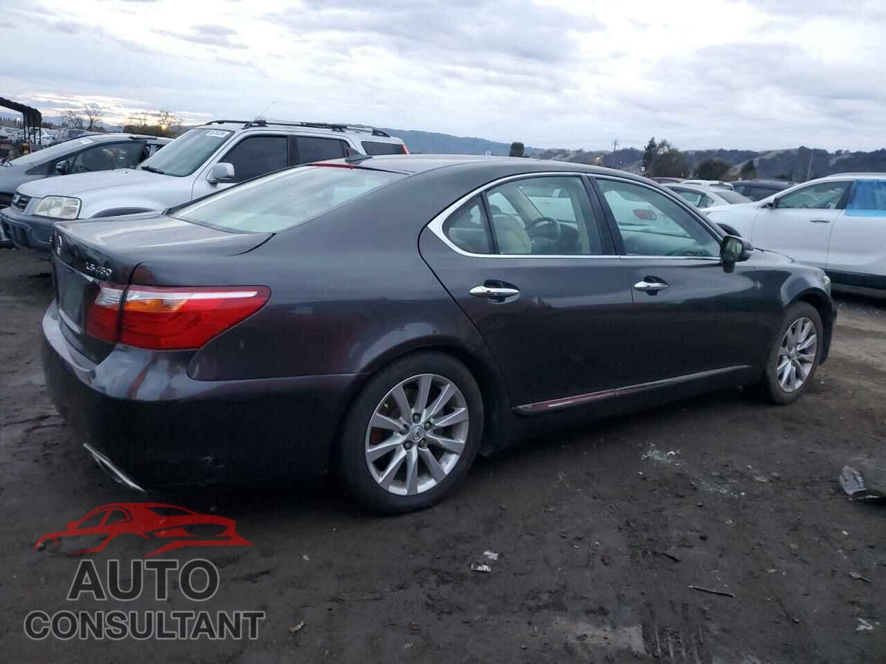 LEXUS LS460 2010 - JTHBL5EF6A5096102