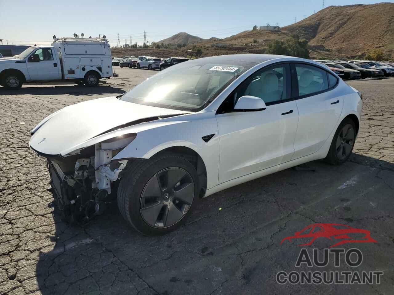 TESLA MODEL 3 2021 - 5YJ3E1EA0MF100063