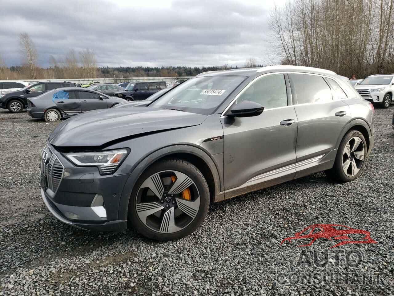 AUDI E-TRON 2019 - WA1VAAGE5KB008316