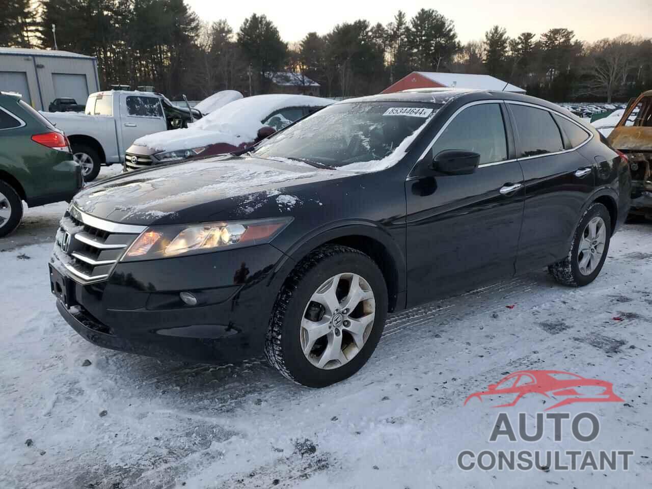 HONDA CROSSTOUR 2012 - 5J6TF2H50CL001928