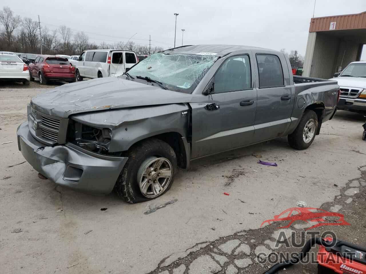 DODGE DAKOTA 2010 - 1D7CW3GP7AS176121