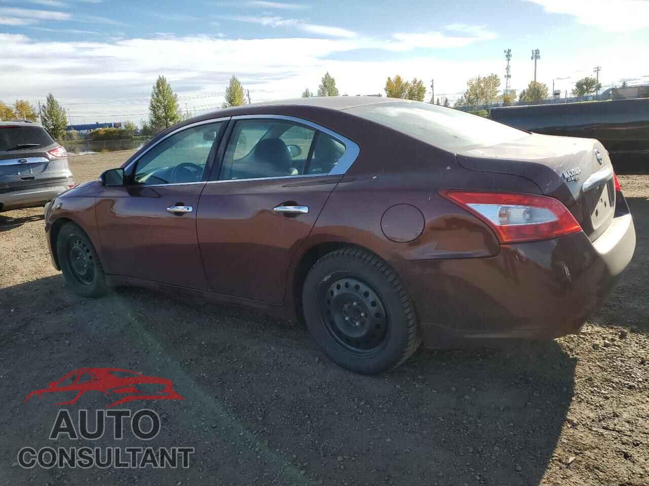 NISSAN MAXIMA 2011 - 1N4AA5AP2BC838662