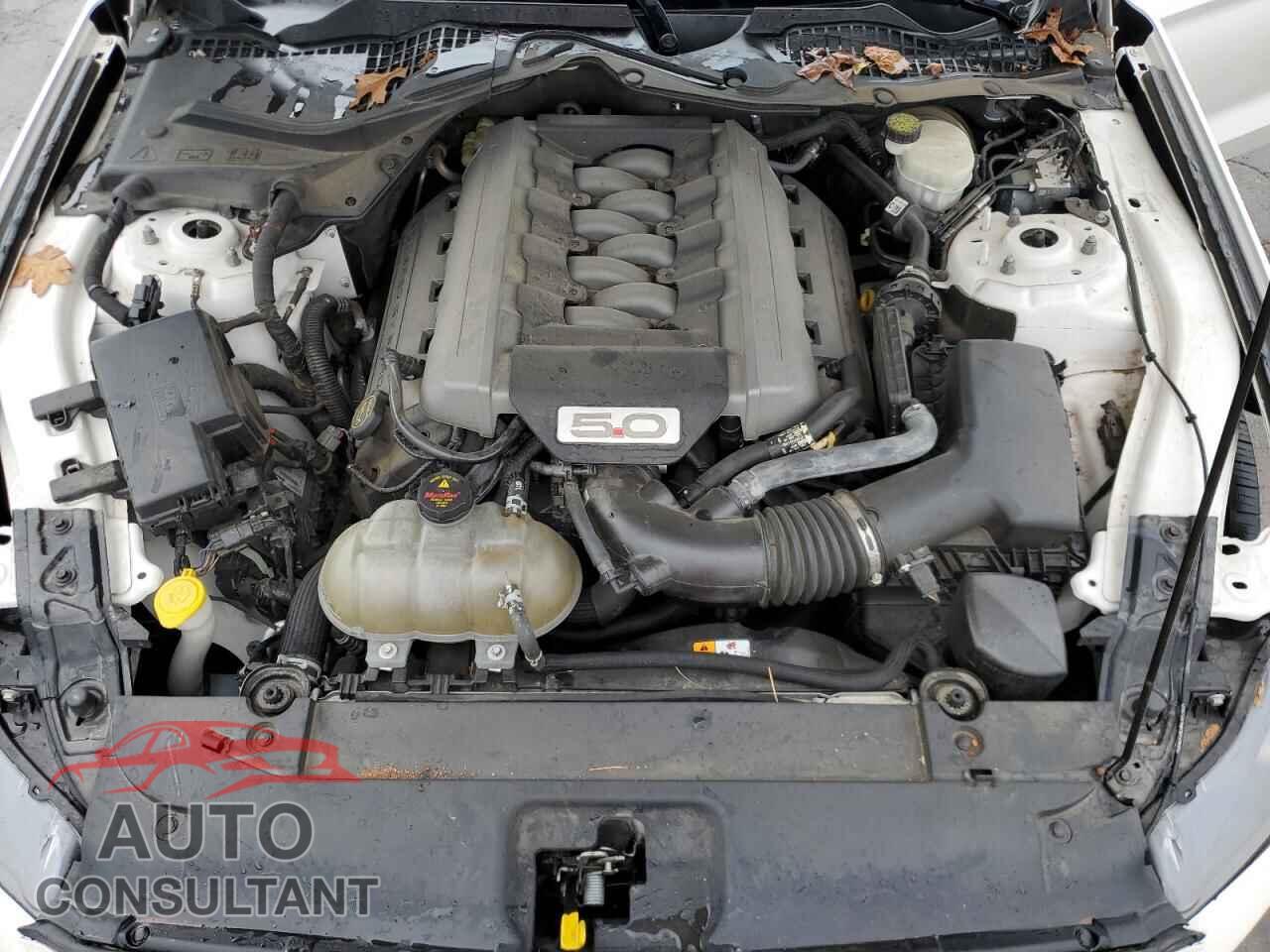 FORD MUSTANG 2017 - 1FA6P8CF5H5263142