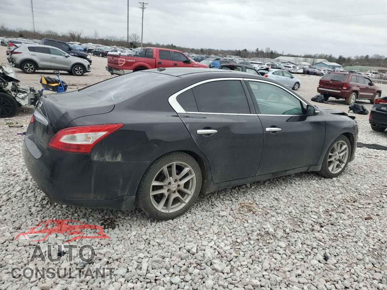 NISSAN MAXIMA 2011 - 1N4AA5AP3BC814757