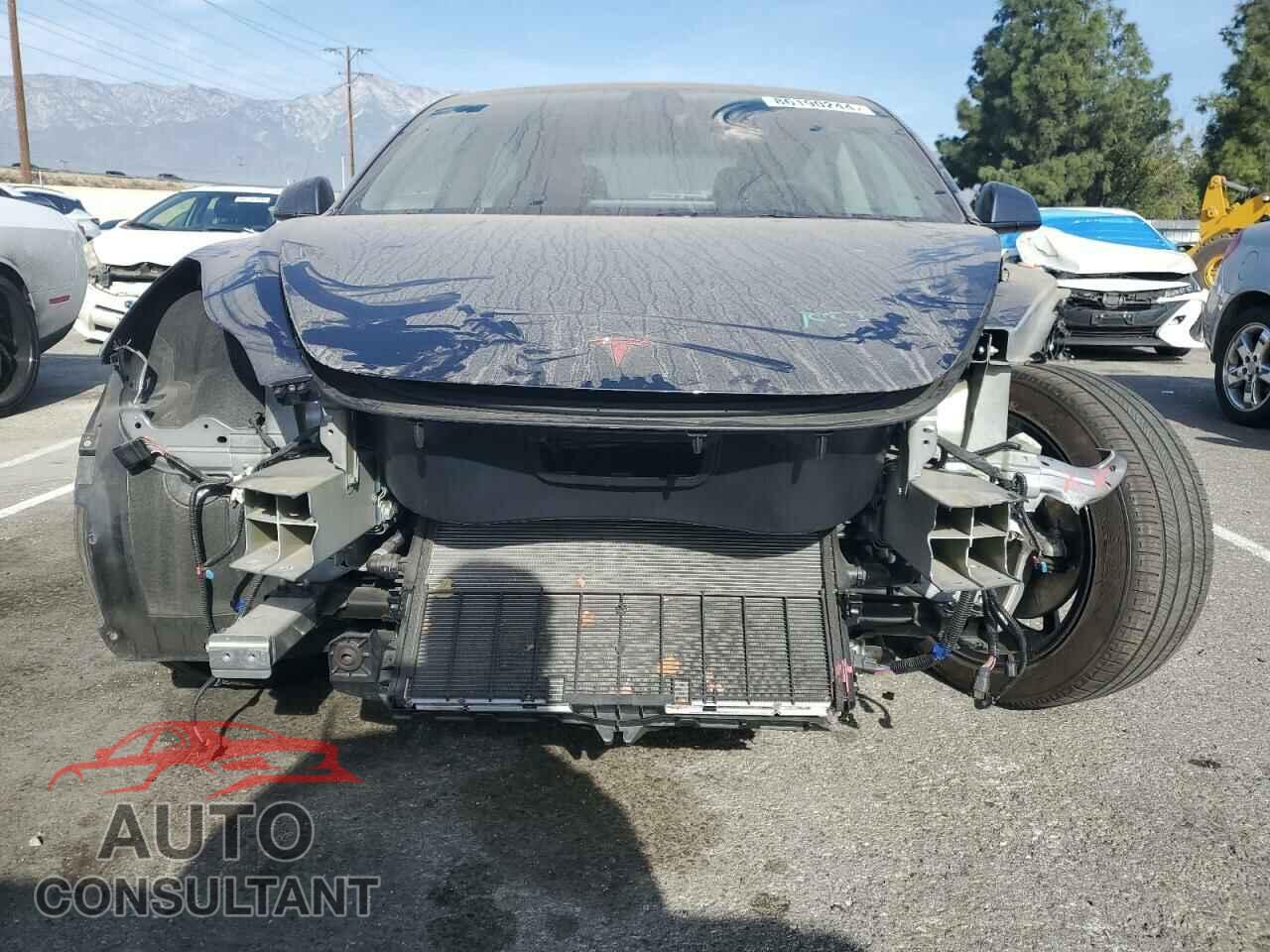 TESLA MODEL 3 2023 - 5YJ3E1EA2PF431795