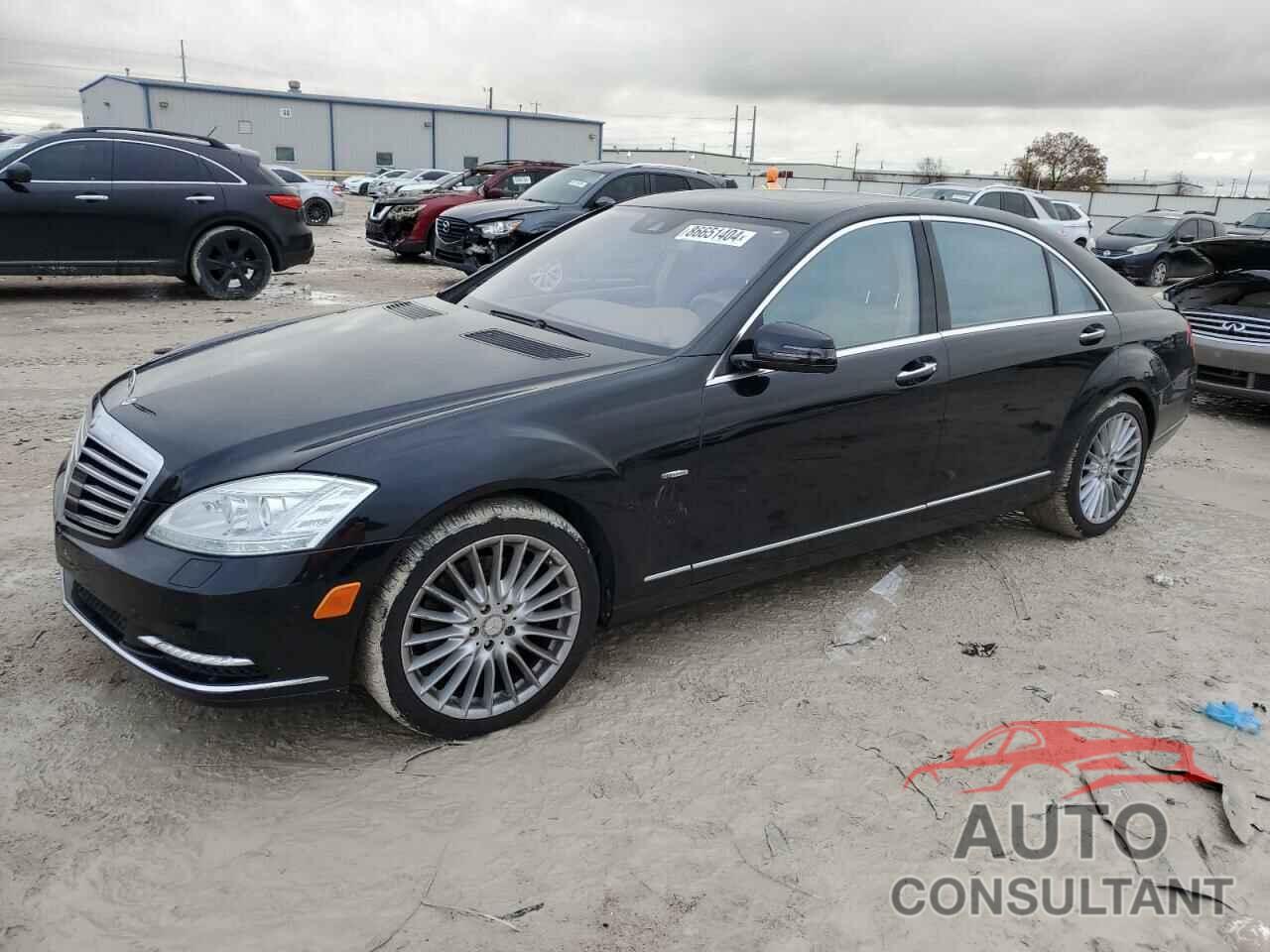 MERCEDES-BENZ S-CLASS 2010 - WDDNG9FB3AA298155