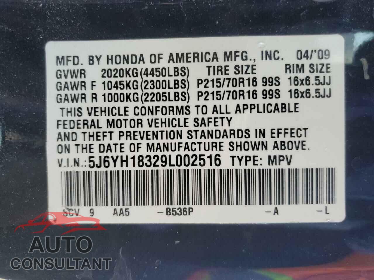 HONDA ELEMENT 2009 - 5J6YH18329L002516