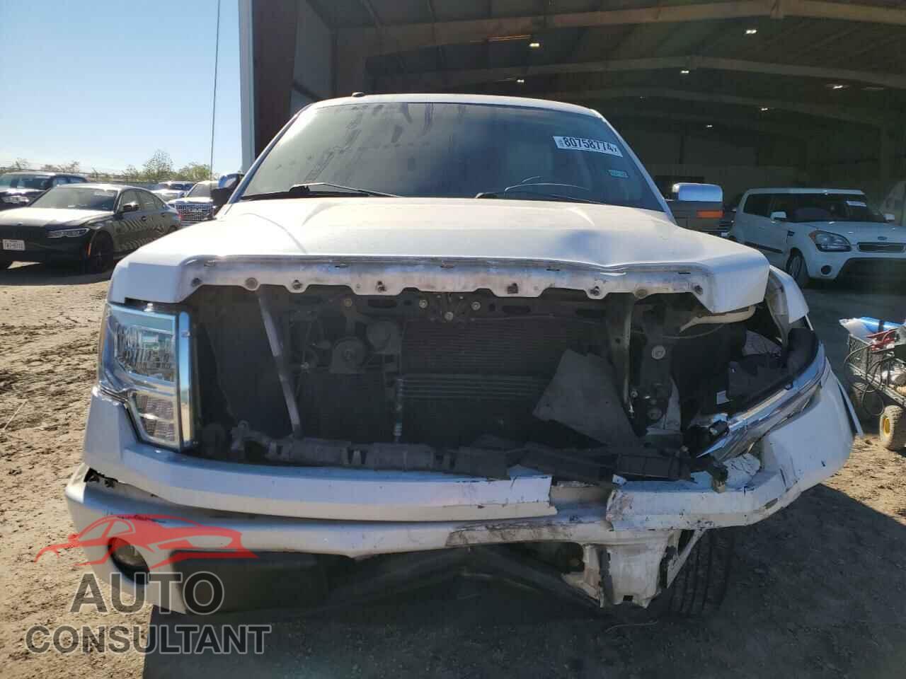 FORD F-150 2010 - 1FTFW1CV9AFA40968