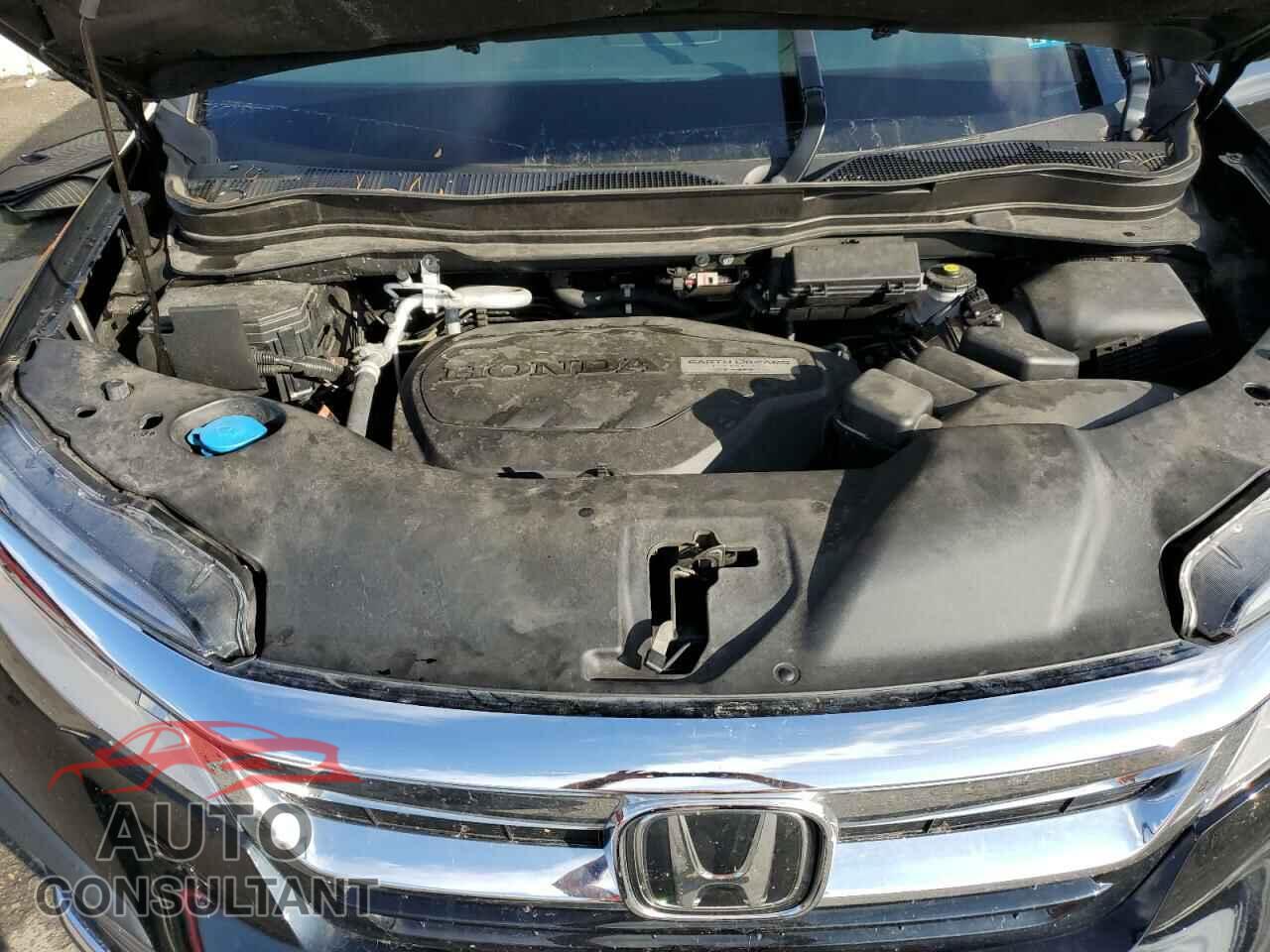 HONDA PILOT 2019 - 5FNYF6H03KB005531