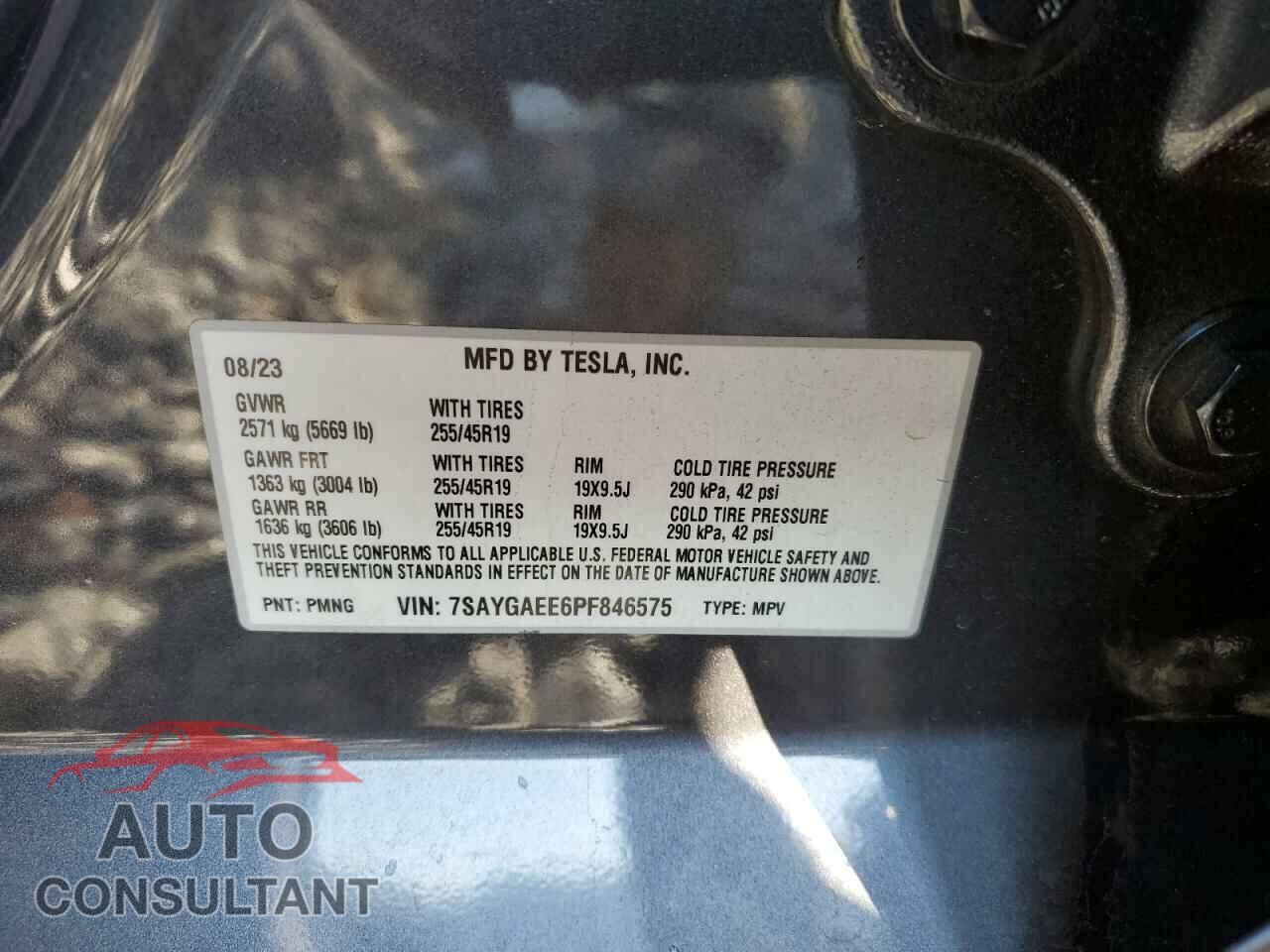 TESLA MODEL Y 2023 - 7SAYGAEE6PF846575