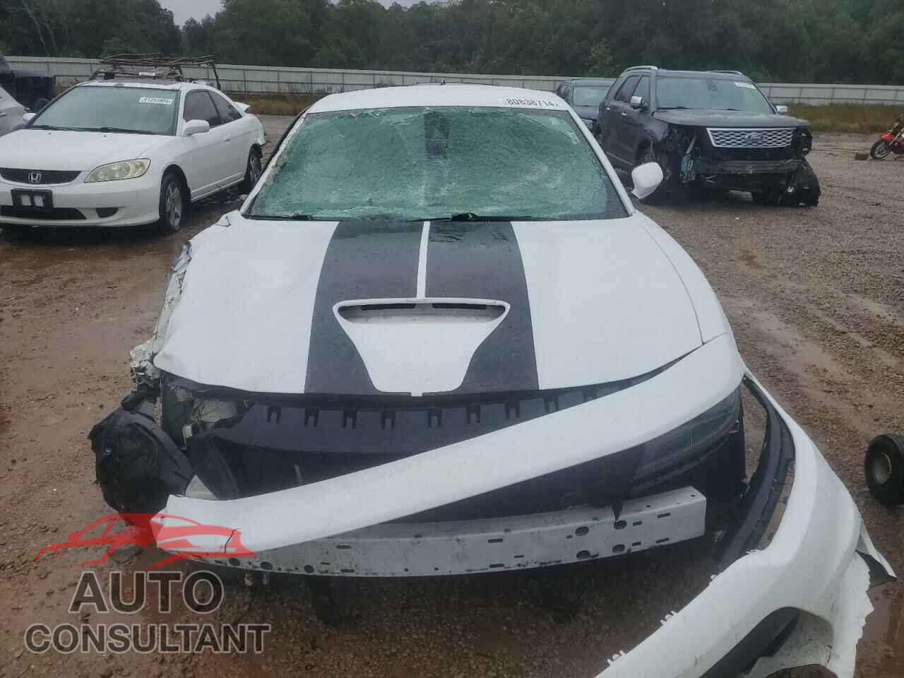 DODGE CHARGER 2019 - 2C3CDXGJ2KH588768