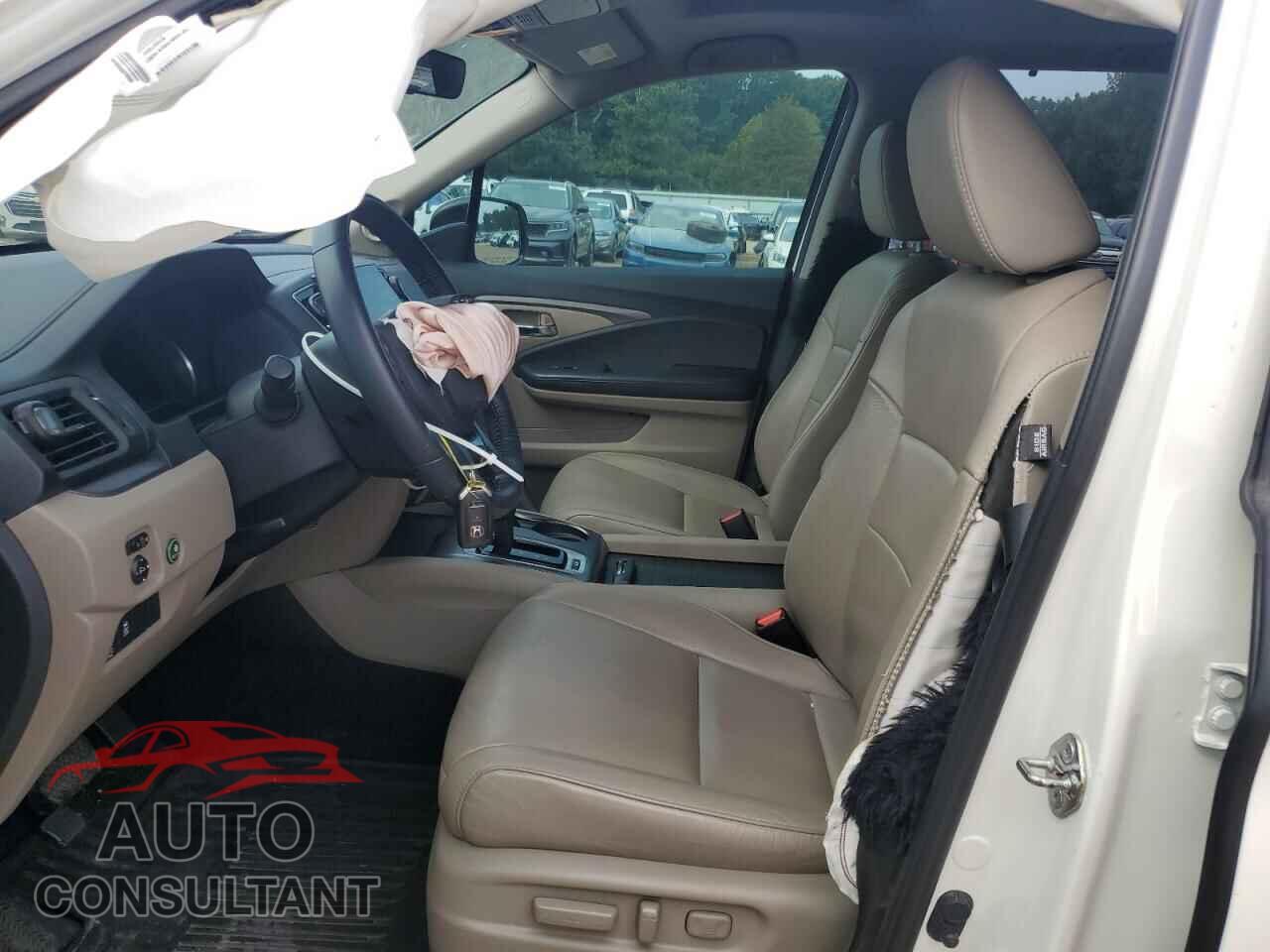 HONDA PILOT 2019 - 5FNYF6H56KB071910