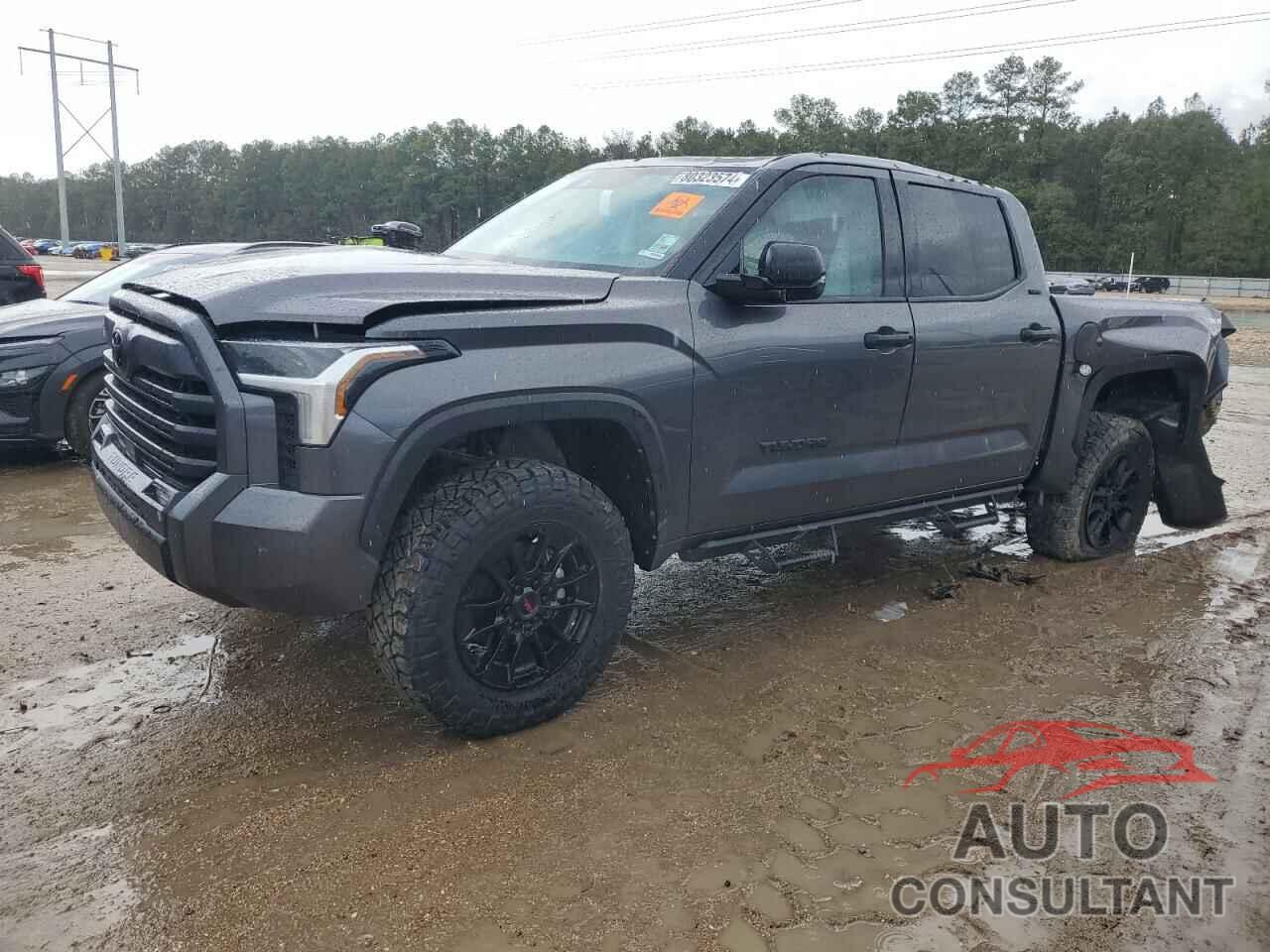 TOYOTA TUNDRA 2023 - 5TFLA5DB3PX123621