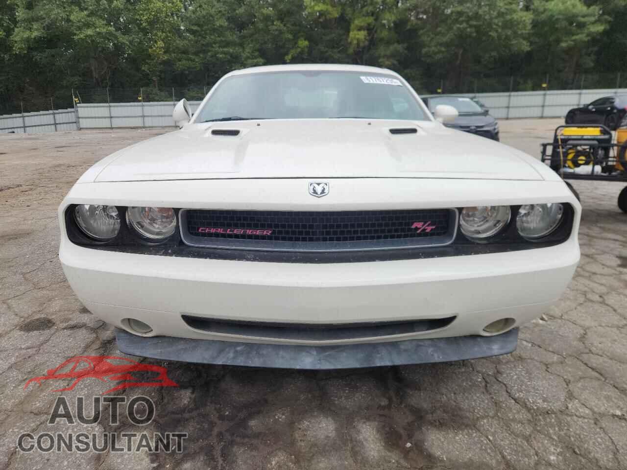DODGE CHALLENGER 2009 - 2B3LJ54T29H502997