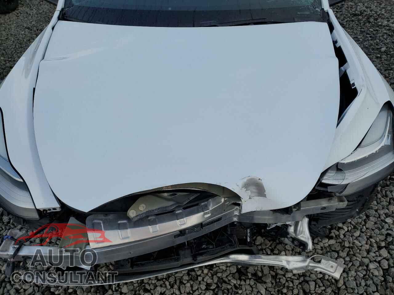 TESLA MODEL Y 2021 - 5YJYGDEEXMF080215