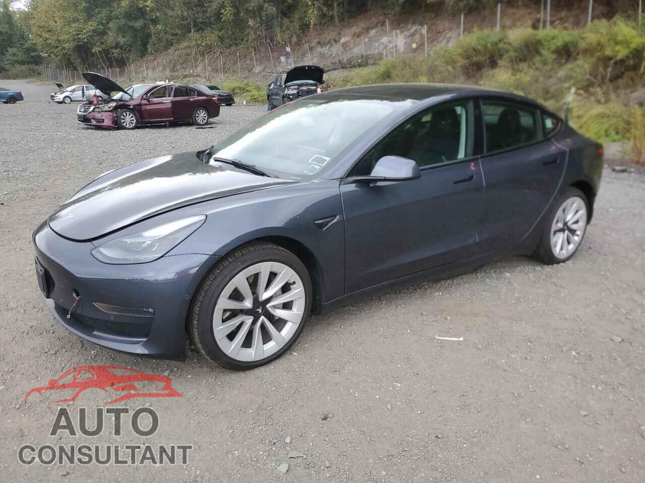 TESLA MODEL 3 2022 - 5YJ3E1EB2NF271844