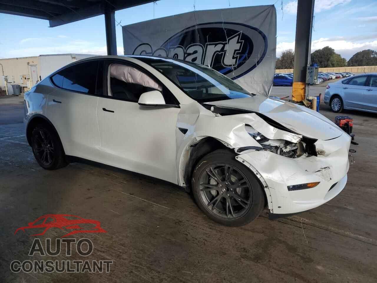 TESLA MODEL Y 2024 - 7SAYGDED3RF111452