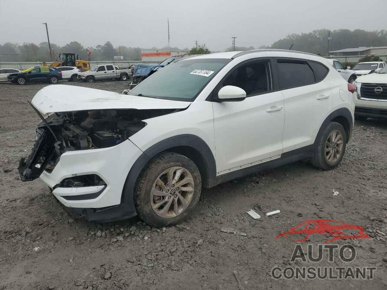 HYUNDAI TUCSON 2016 - KM8J33A45GU114623