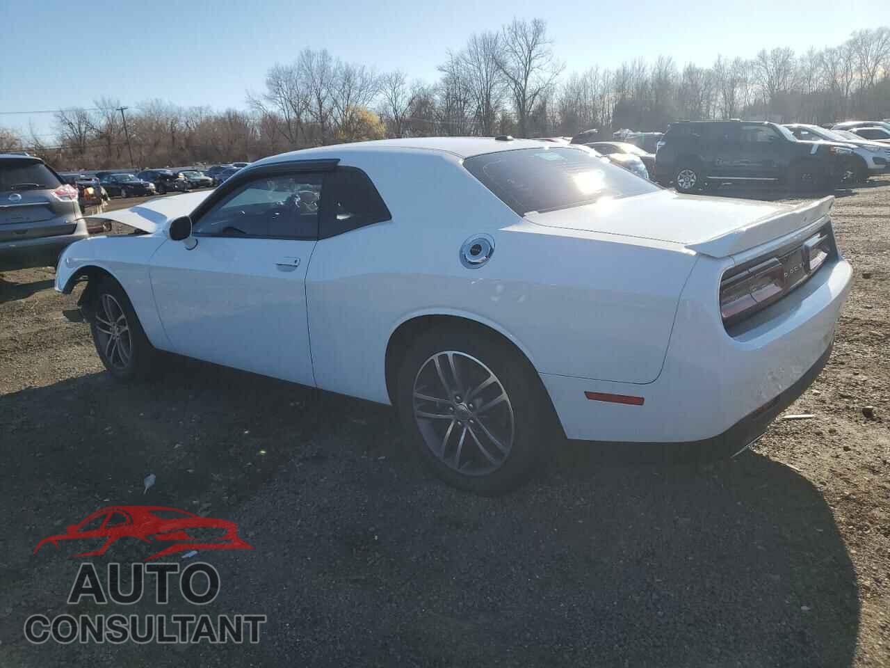 DODGE CHALLENGER 2019 - 2C3CDZGG9KH529491
