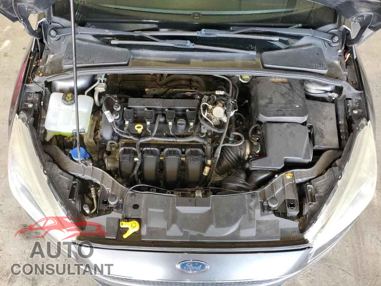 FORD FOCUS 2016 - 1FADP3F27GL341224