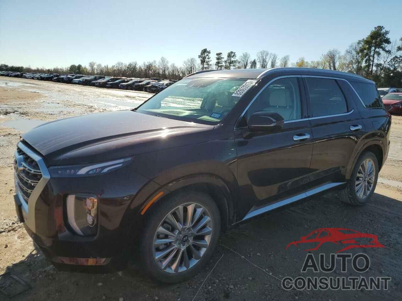 HYUNDAI PALISADE 2020 - KM8R5DHE1LU087142