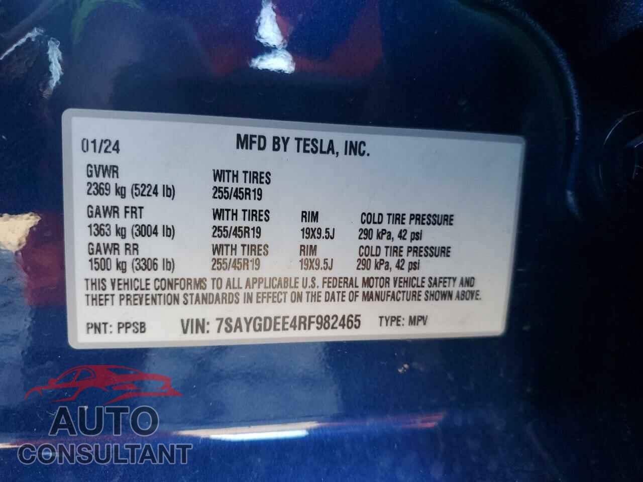 TESLA MODEL Y 2024 - 7SAYGDEE4RF982465