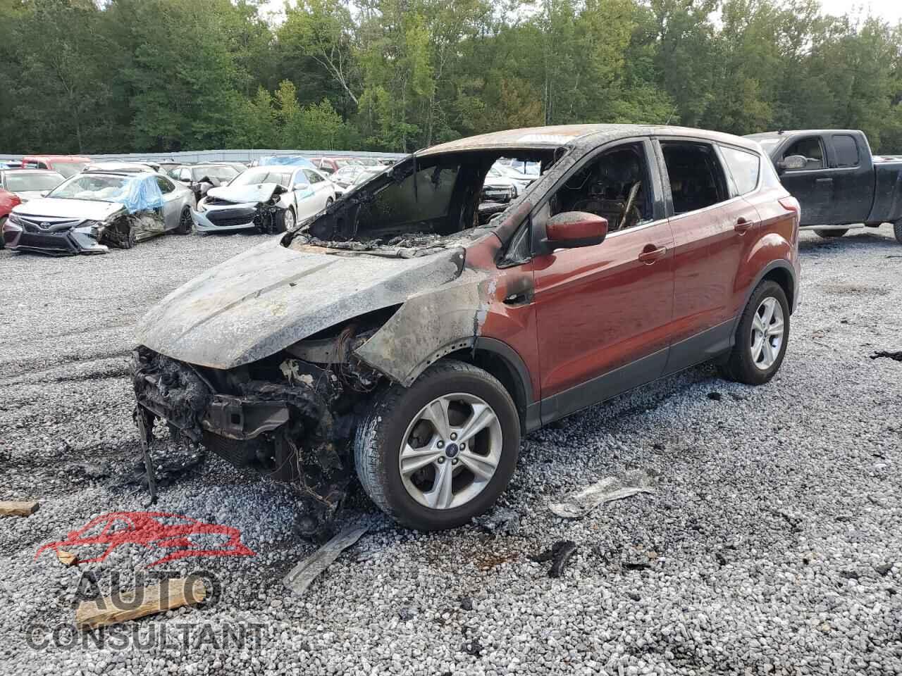 FORD ESCAPE 2014 - 1FMCU0GX8EUD02572