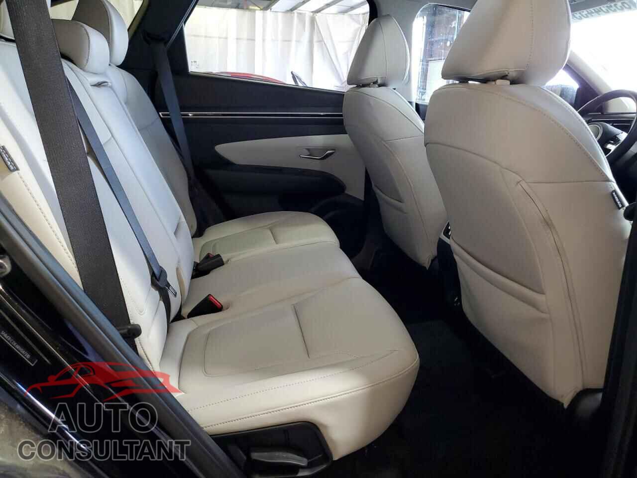 HYUNDAI TUCSON 2024 - 5NMJFCDE6RH347310