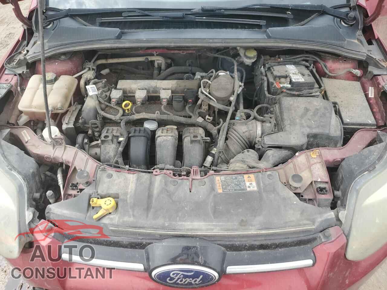 FORD FOCUS 2014 - 1FADP3J28EL431275