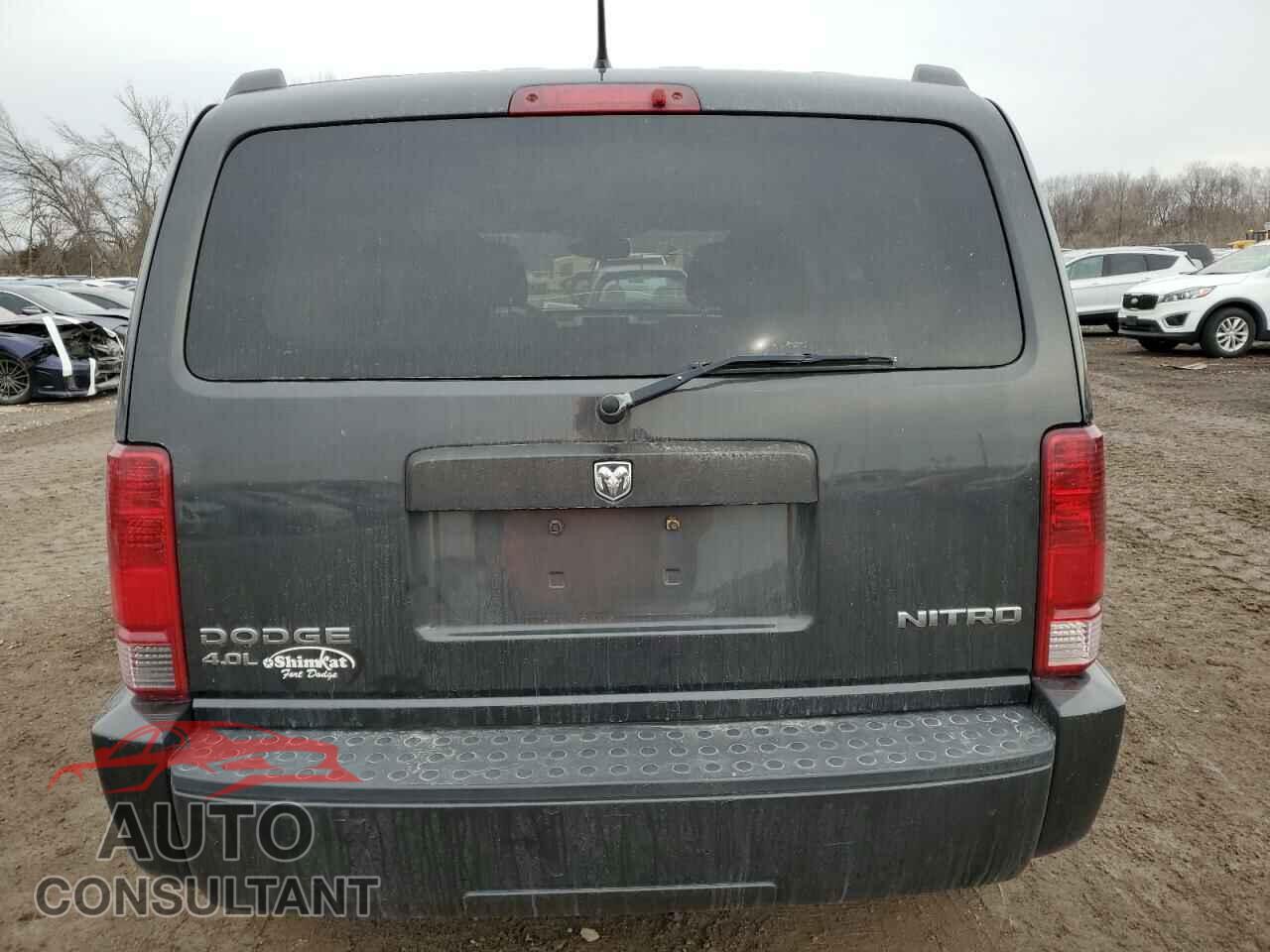 DODGE NITRO 2011 - 1D4PU4GX0BW501101