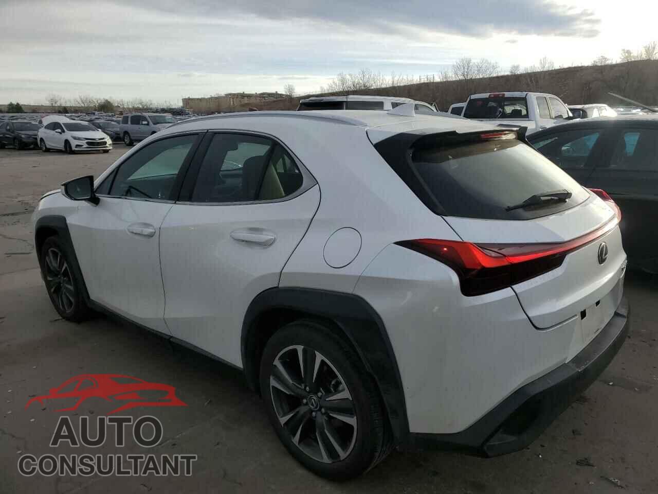 LEXUS UX 200 2019 - JTHY3JBH9K2018005