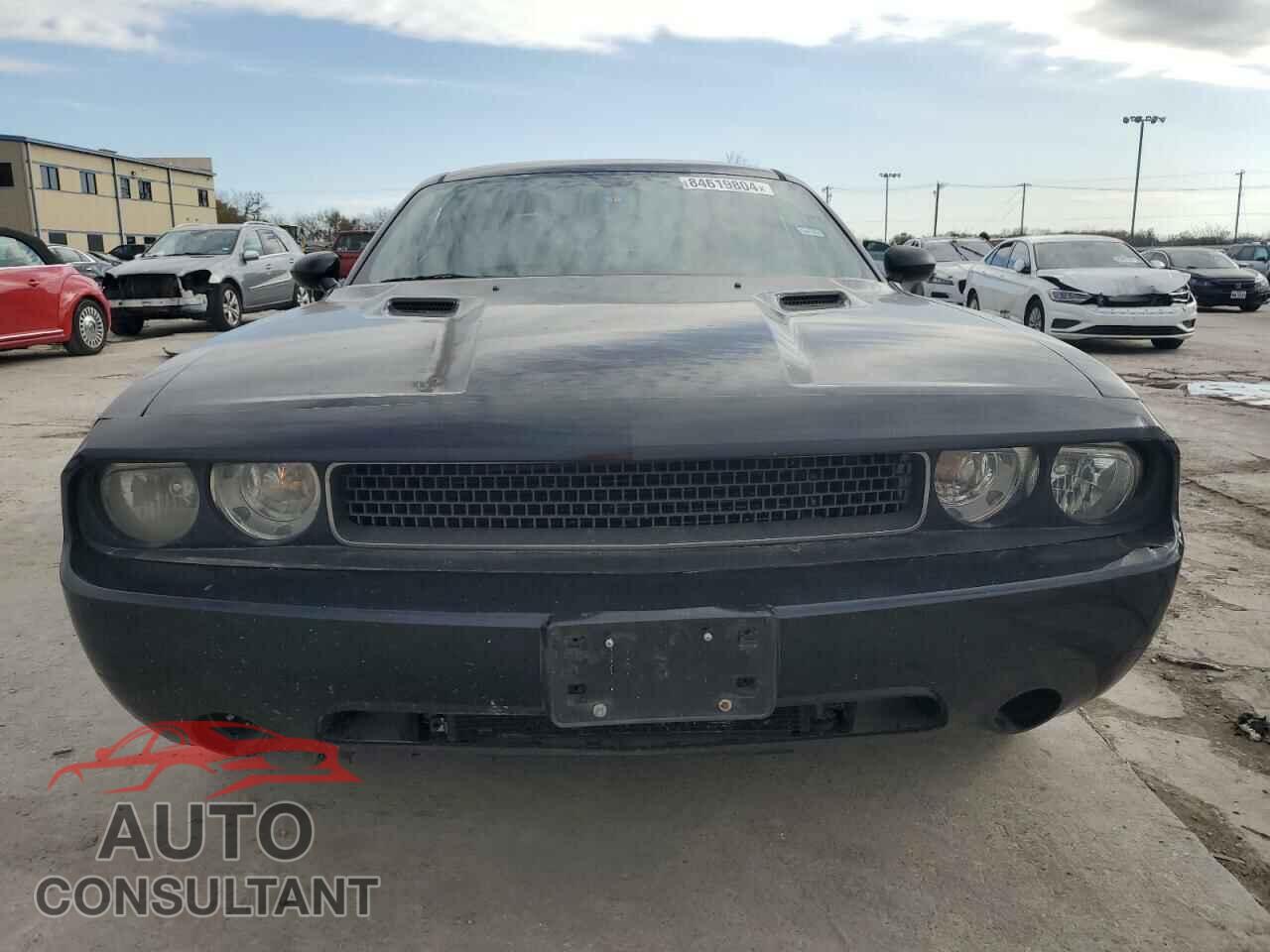 DODGE CHALLENGER 2013 - 2C3CDYAG3DH519691