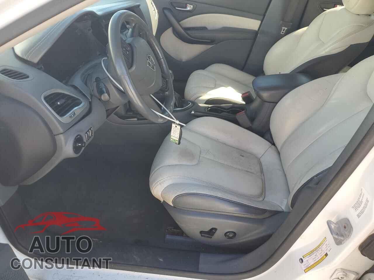 DODGE DART 2013 - 1C3CDFCH0DD319567