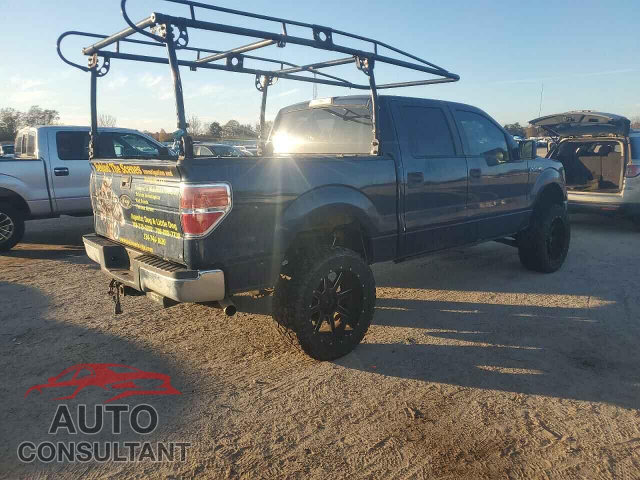 FORD F-150 2013 - 1FTFW1CF1DFB31388