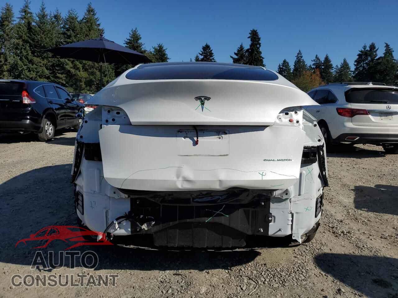 TESLA MODEL Y 2024 - 7SAYGDEE0RF205457