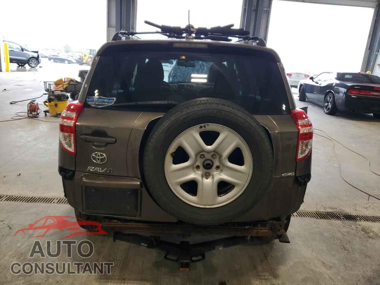 TOYOTA RAV4 2011 - 2T3BF4DV1BW161475