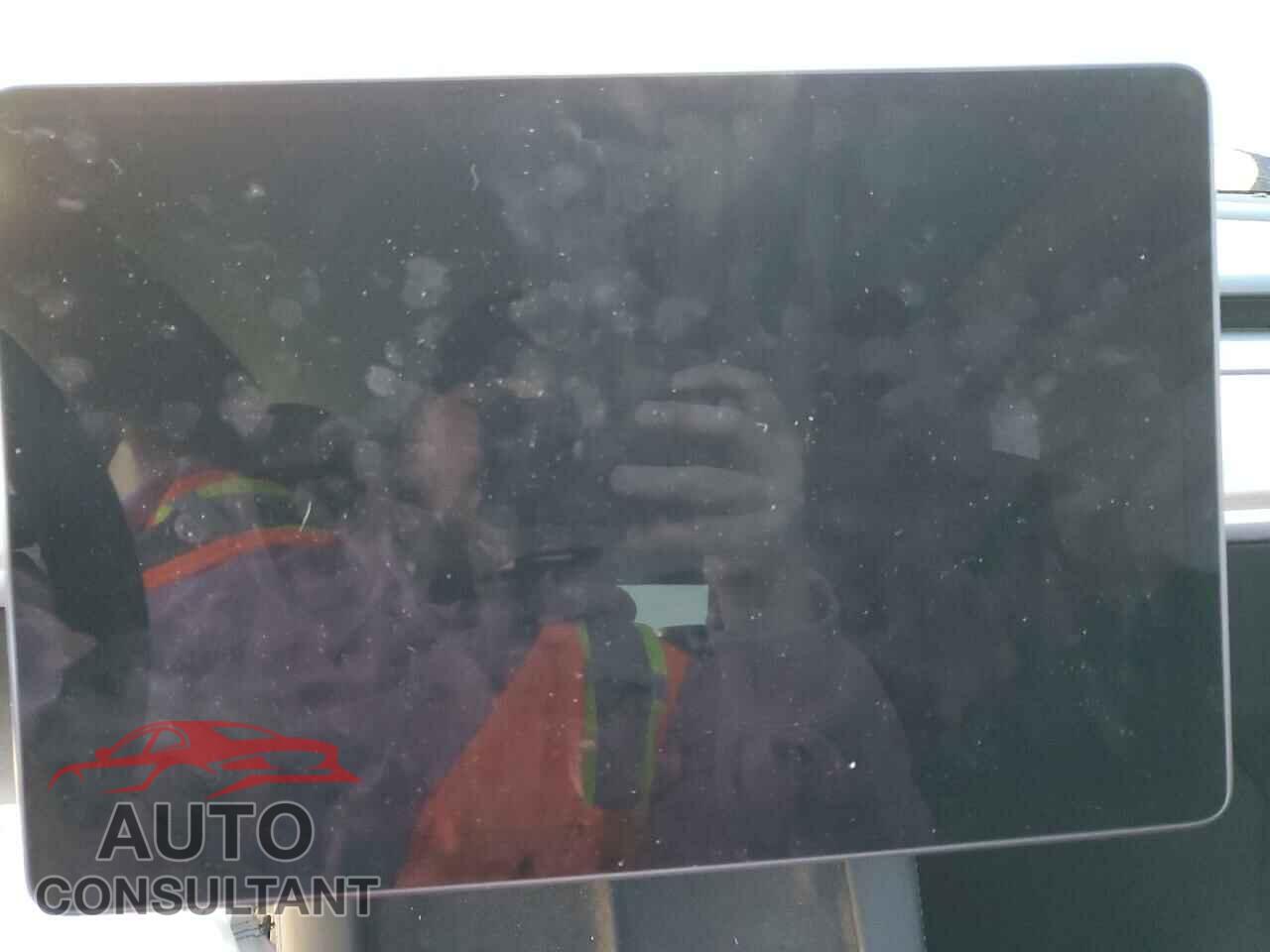 TESLA MODEL Y 2023 - 7SAYGDEF5PF806143