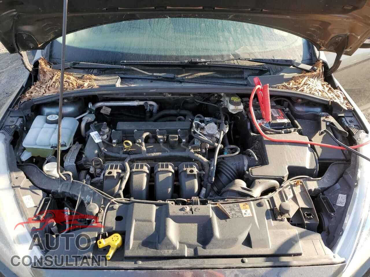 FORD FOCUS 2017 - 1FADP3F21HL278252