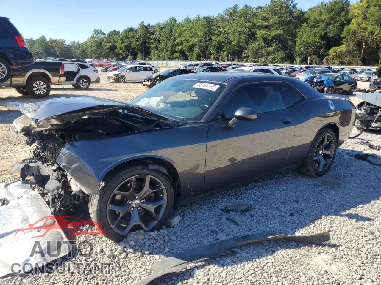 DODGE CHALLENGER 2019 - 2C3CDZJG1KH747417