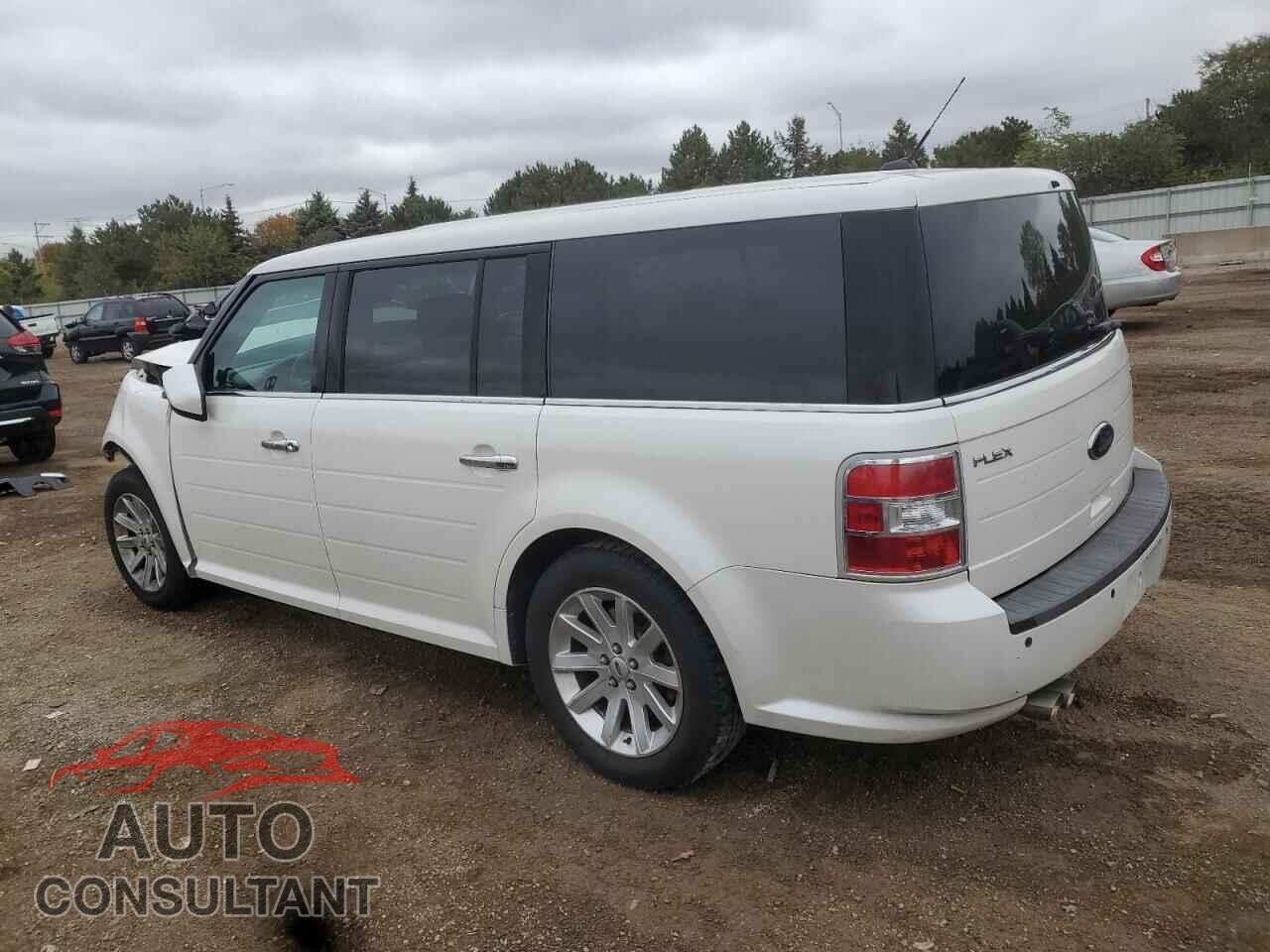 FORD FLEX 2009 - 2FMDK52C09BA32020