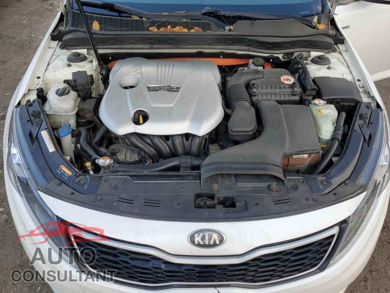 KIA OPTIMA 2013 - KNAGM4AD5D5042018