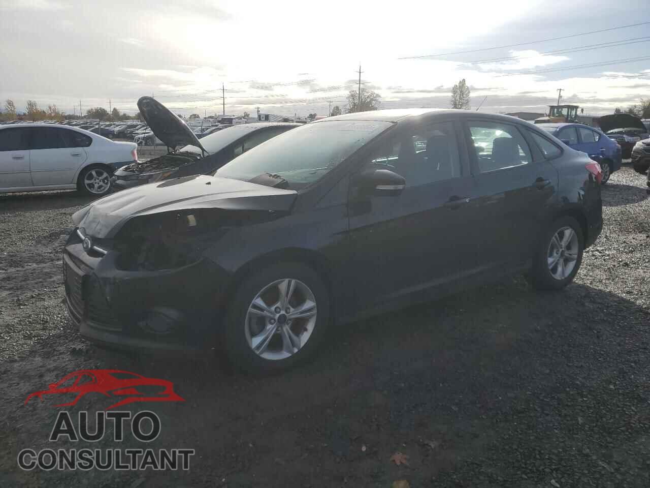 FORD FOCUS 2014 - 1FADP3F22EL363659