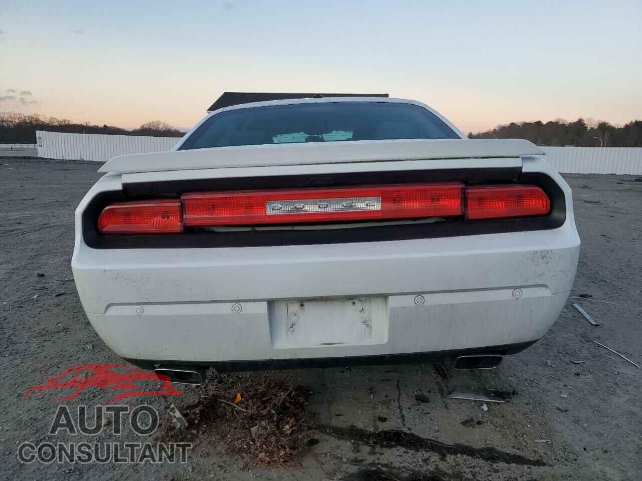 DODGE CHALLENGER 2014 - 2C3CDYAG8EH293665