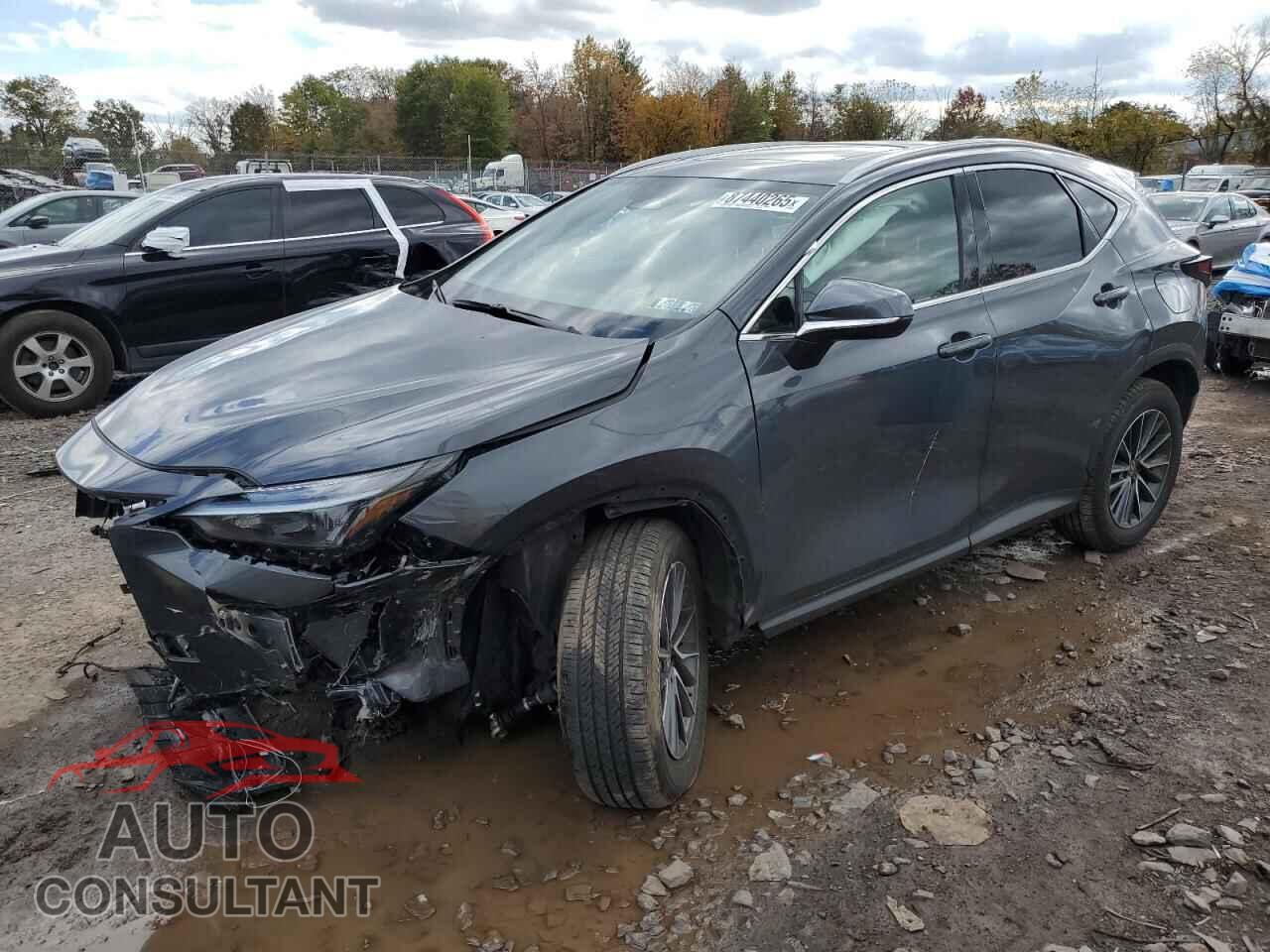 LEXUS NX 350 BAS 2025 - 2T2AGCEZ4SC081601