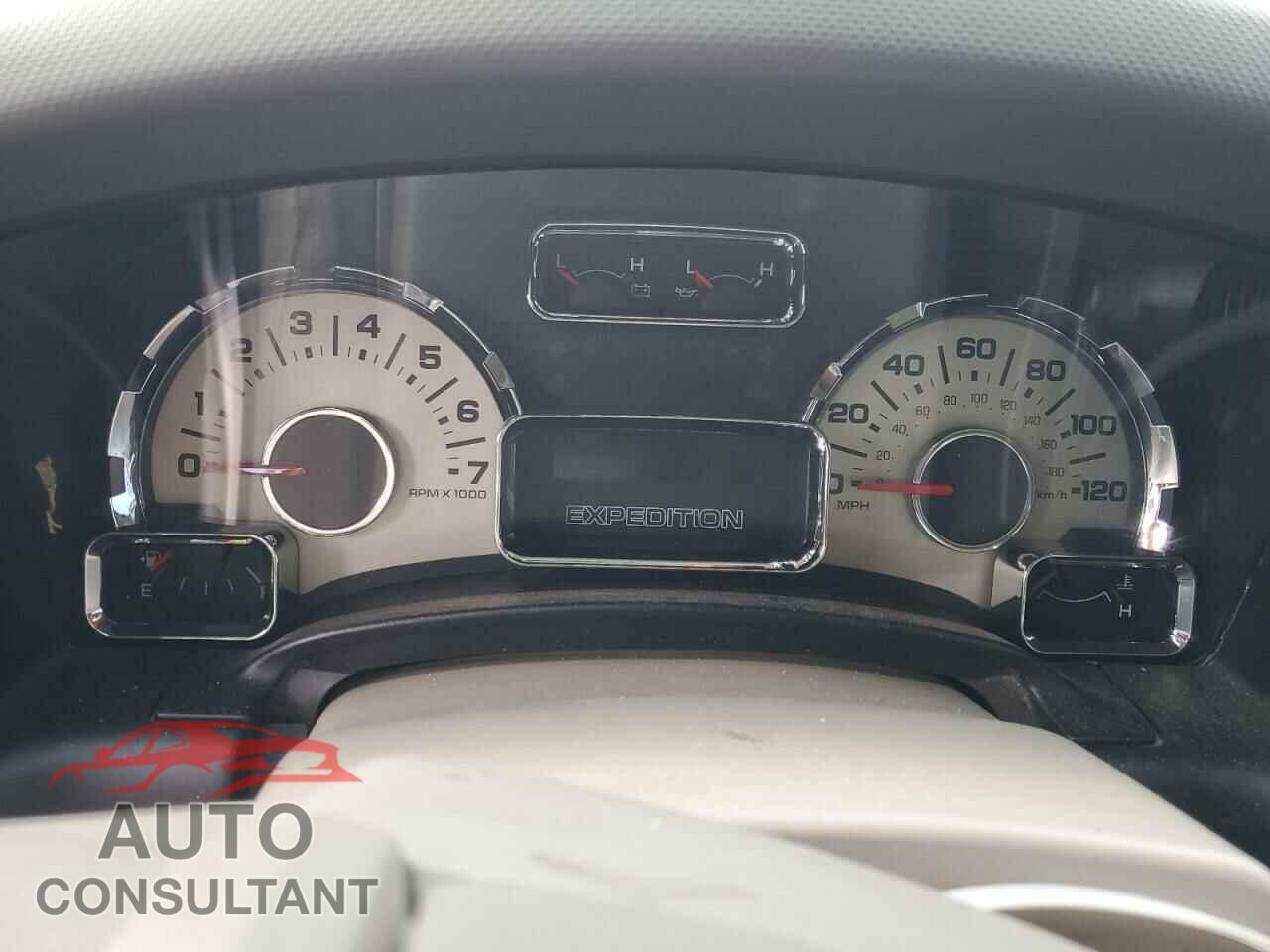 FORD EXPEDITION 2009 - 1FMFU19559EA97260