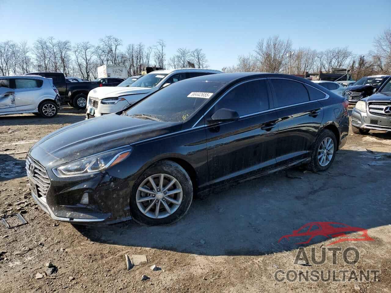 HYUNDAI SONATA 2019 - 5NPE24AF6KH780389