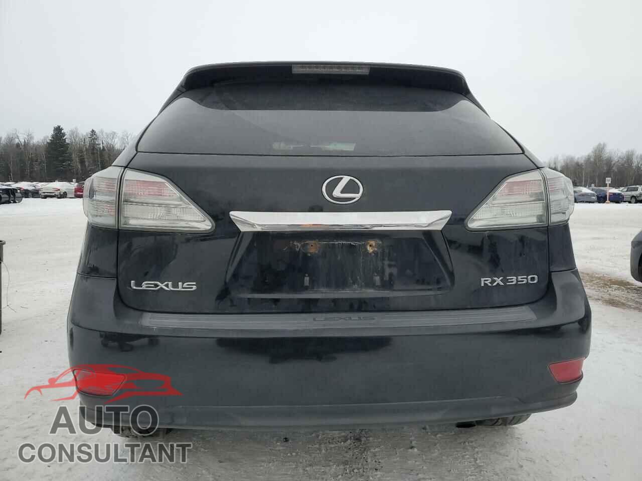 LEXUS RX350 2010 - 2T2BK1BA9AC034584